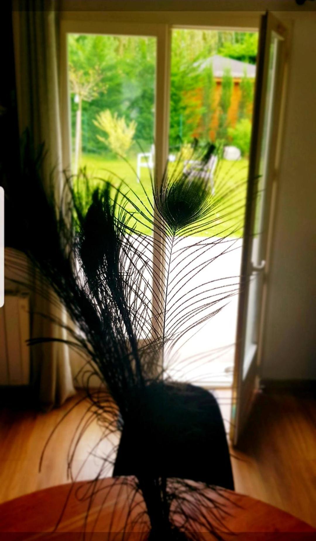 Maison Gasha Διαμέρισμα Senlis  Εξωτερικό φωτογραφία